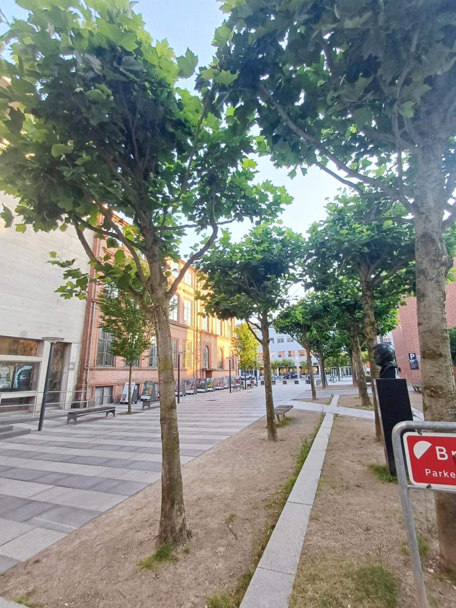 רנדרס Large Double Room In The Center Of City מראה חיצוני תמונה